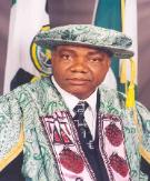 Prof. Celestine Onwuliri